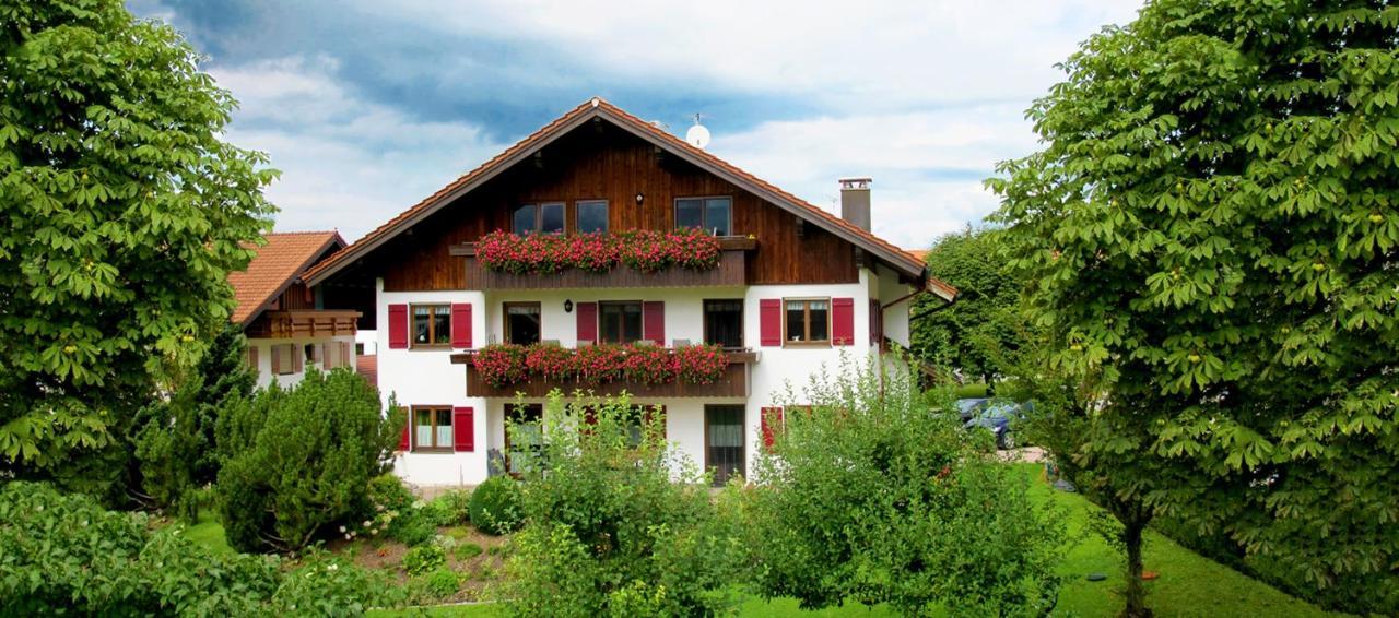 Hornblick Fewo- Ab Mai Freie Fahrt Mit Bergbahnen 奥伯斯特多夫 外观 照片