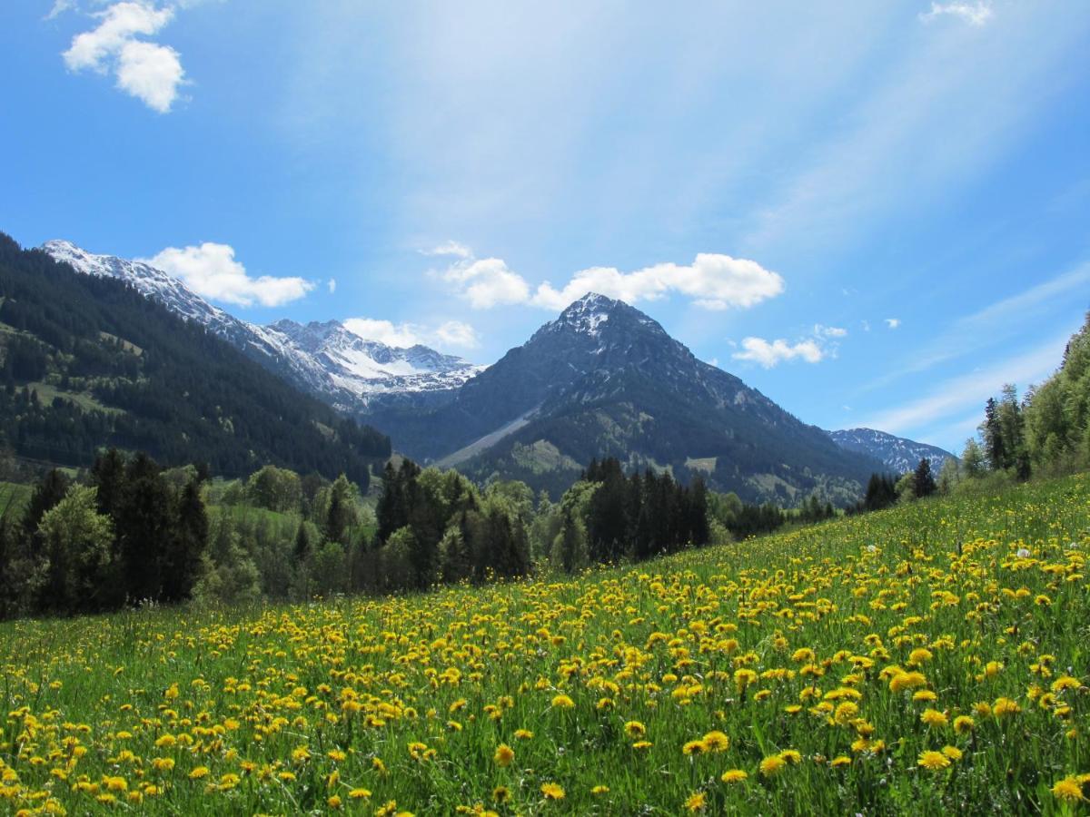 Hornblick Fewo- Ab Mai Freie Fahrt Mit Bergbahnen 奥伯斯特多夫 外观 照片