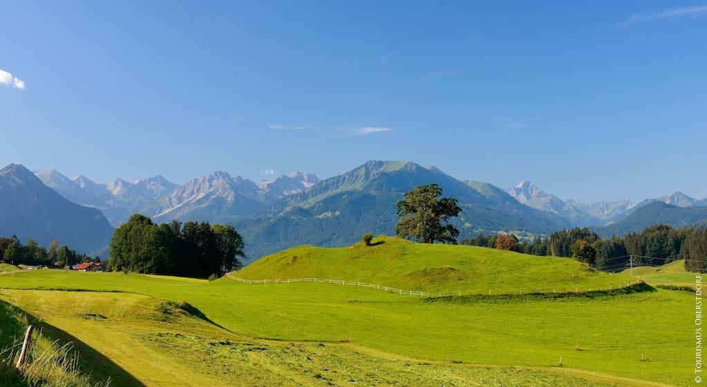 Hornblick Fewo- Ab Mai Freie Fahrt Mit Bergbahnen 奥伯斯特多夫 外观 照片