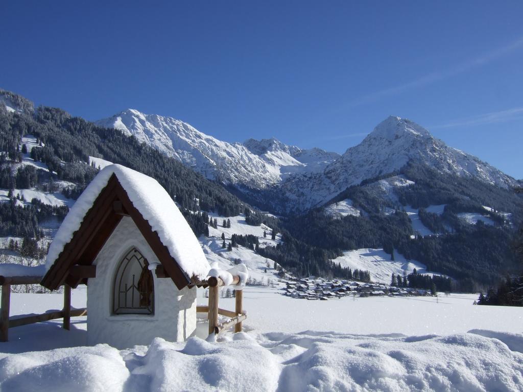 Hornblick Fewo- Ab Mai Freie Fahrt Mit Bergbahnen 奥伯斯特多夫 外观 照片