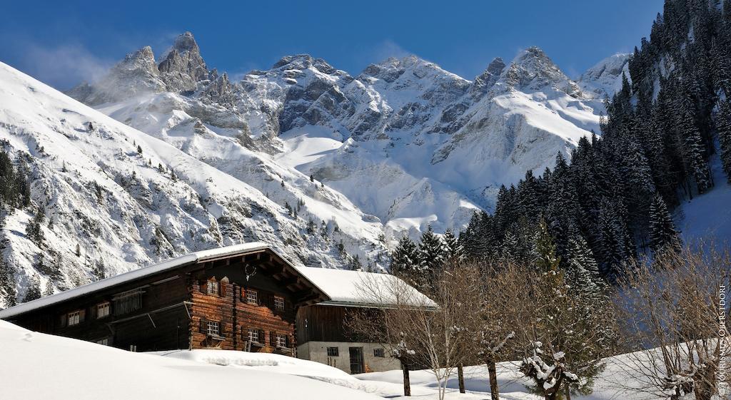 Hornblick Fewo- Ab Mai Freie Fahrt Mit Bergbahnen 奥伯斯特多夫 外观 照片